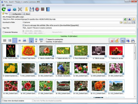 Bulk Image Downloader 6.28 for windows instal free