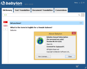 Babylon Pro NG 11.0.1 Crack