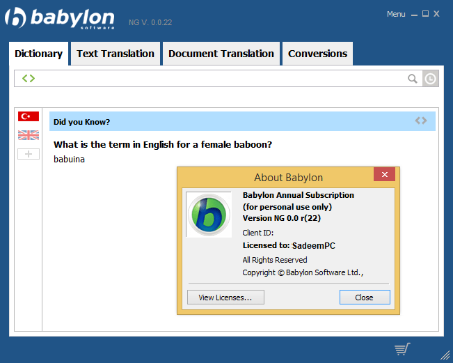 babylon 9 translation software