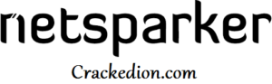 Netsparker Professional 5.3.0.23162 Cracked