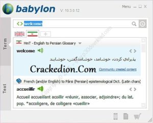 Babylon Premium Pro License