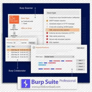 Burp Suite Pro 2022.12.4 Crack