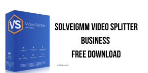 SolveigMM Video Splitter 8.0.2305.17 Crack