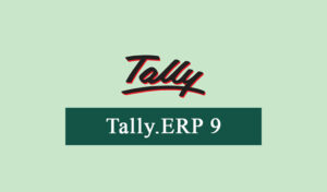 Tally ERP 9 Cracked﻿